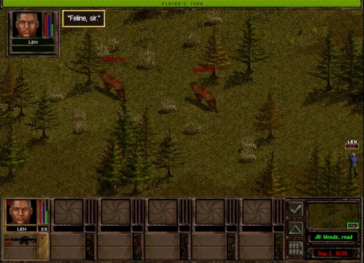Jagged Alliance 2 Feline